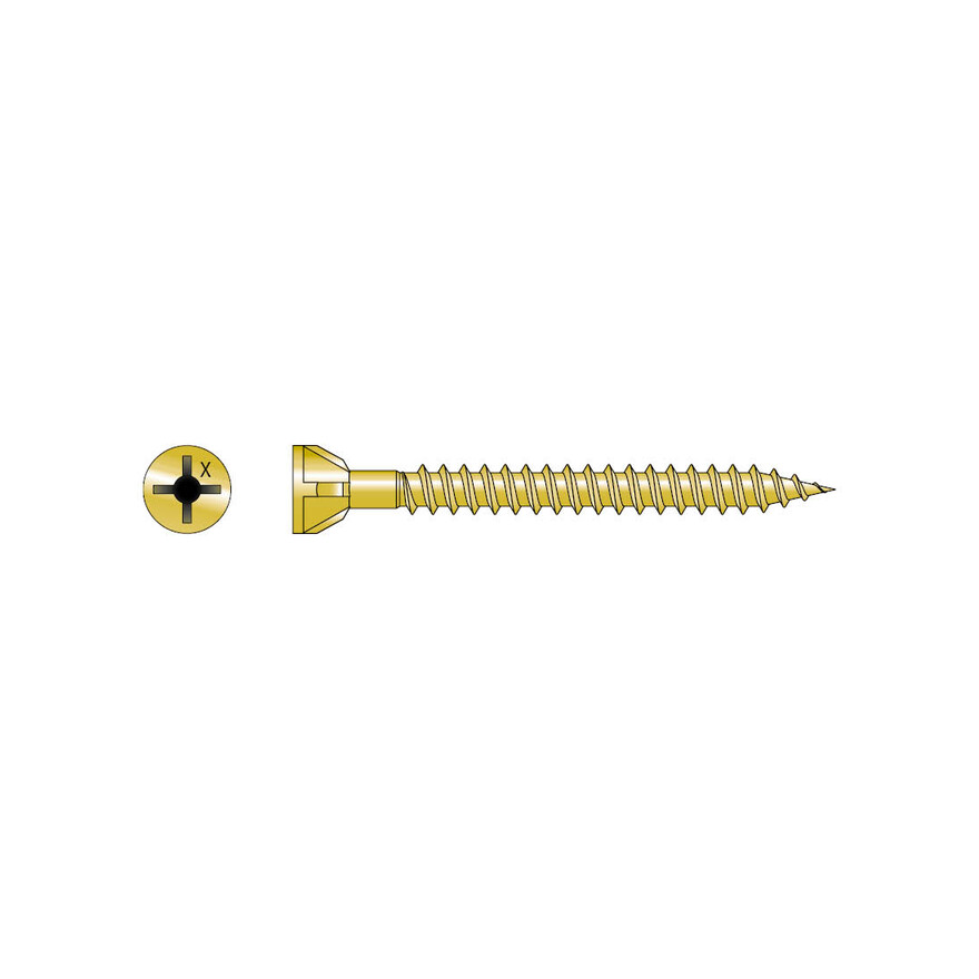 TS Photo Gallery 1.jpg